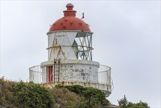 Taiaroa Head Leuchtturm, Otago-Halbinsel, Neuseeland