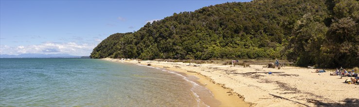 Abel Tasman Coast Track, Apple-Tree-Bay, Kaiteriteri, New Zealand, Oceania