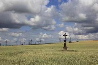 Field cross in a wheat field, in the background power lines, near Dukovany, Czech Republic, Grain