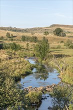 Landscape in Aubrac in summer, inspiring, infinite, enchanting, magical, peaceful, bewitching.