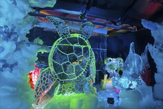 Turtle, Ice Sculpture Festival, Zwolle, Province of Overijssel, Netherlands