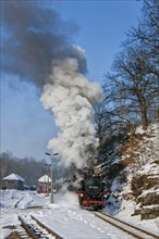 Little railway in Seifersdorf