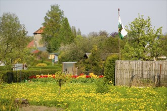 The allotment garden, also known as Schrebergarten, Heimgarten, Familiengarten (esp. in