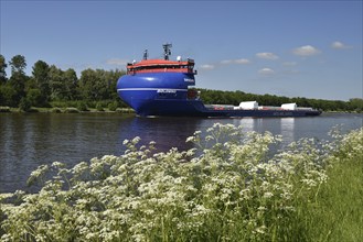 Cargo ship Boldwind with wind turbines in summer in the Kiel Canal, Schleswig-Holstein, Germany,