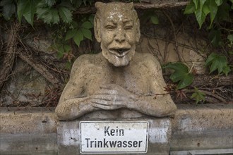 Bust of the devil as a fountain figure, Nuremberg, Middle Franconia, Bavaria, Germany, Europe