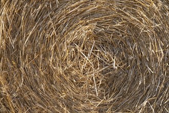 Straw bales, Thuringia, Germany, Europe