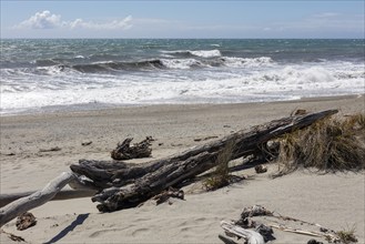 Ship Creek, Strand, Neuseeland