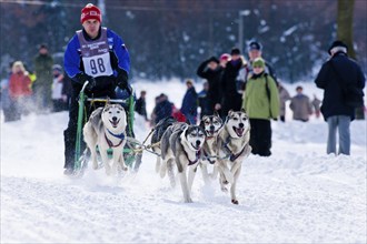 Sled dog race in Nassau Erzgeb