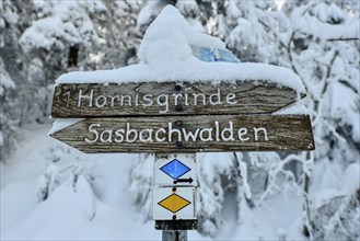 Snowy signpost near the Hornisgrinde, near Sasbach, Ortenaukreis, Black Forest, Baden-Württemberg,