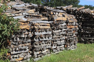 Stacked firewood, split logs in a pile, polter, logs