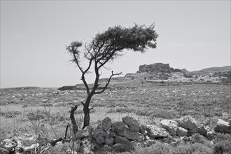 Rhodes Island, Lindos, Lindos is a town on the Greek island of Rhodes. Its landmark is the