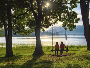 Girl sitting on swing by tree in morning sun by lake, Sri Lanka, Asia