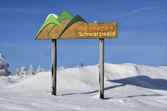 Sign Black Forest National Park, snow, near Kniebis, county Freudenstadt, Black Forest,