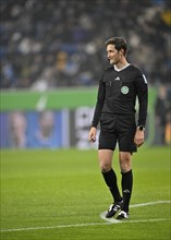 Referee Referee Dr Matthias Jöllenbeck, PreZero Arena, Sinsheim, Baden-Württemberg, Germany, Europe