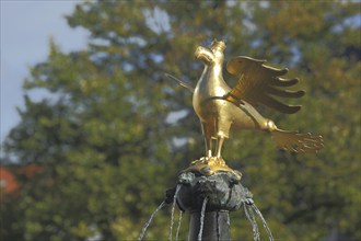 Golden heraldic animal with crown from the market fountain, eagle figure, golden, market place,