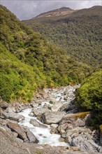 Haast River, Neuseeland