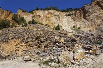 Disused Vatter porphyry quarry, Dossenheim, Baden-Württemberg, Germany, Europe