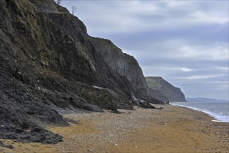 Black Ven landslide on beach between Lyme Regis and Charmouth along the Jurassic Coast, Dorset,