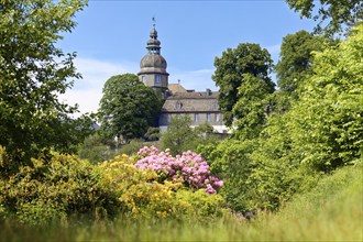 Rhododendron blossom in the castle park, created in the 18th century at the back of Berleburg