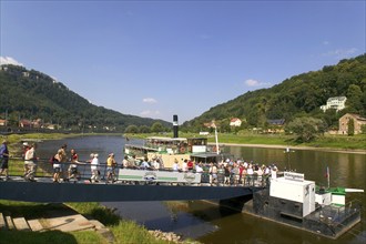 DEU Saxony Königstein Elbe ferry in Königstein