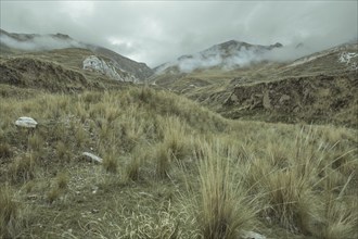 Landscape in the Andean highlands, Curipata, Peru, South America