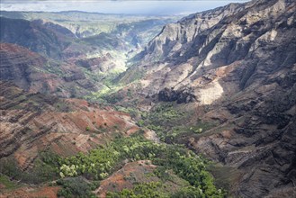 Aerial view Waimea Canyon, Waimea Canyon State Park, Kauai, Hawaii, USA, North America