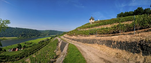 Not far from the Boselspitze, leaning towards the Elbe, is the vineyard known as the Rote Presse.