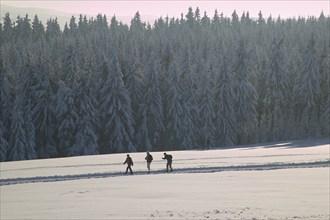 DEU Saxony Landscape near Hermsdorf in the Ore Mountains