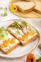 White bread sandwiches with cream cheese, calendula petals and microgreen on gray concrete