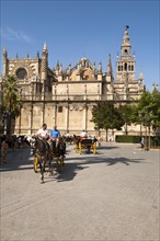 Horse and carriage rides for tourists in the historic central area near the cathedral, Seville,