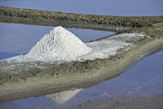 Salt pan for the poduction of Fleur de sel, sea salt on the island Ile de Ré, Charente-Maritime,