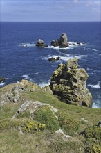 Sea stacks along the rocky coast at Cap de Sizun, nature reserve and bird sanctuary in Finistère,