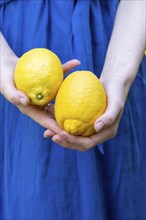 Young woman with lemons, Upper Bavaria, Bavaria, Germany, Europe