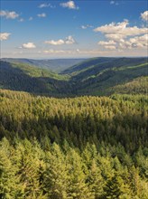 A view over a deep valley surrounded by dense forest under a blue sky with white clouds,