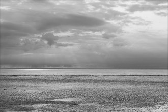 Low tide in the Wadden Sea National Park, evening mood, Norddeich, Norden, East Frisia, Lower