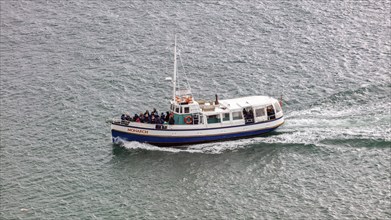 Boot, Taiaroa Head, Otago-Halbinsel, Neuseeland