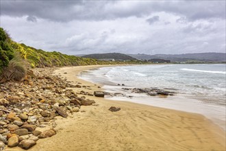 Strand, Curio Bay, Südland, Neuseeland