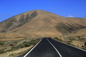 Tarmac road crossing desert, Fuerteventura, near Pajara, Canary Islands, Spain, Europe