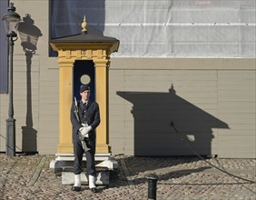 Guard, Royal Castle, Kungliga slottet, Stockholm, Sweden, Europe