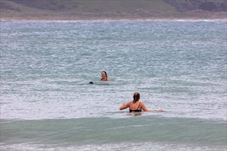 Delfine, Badende, Curio Bay, Südland, Neuseeland