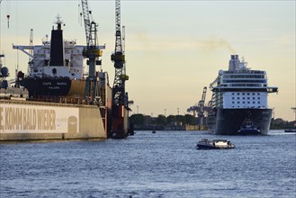 Europe, Germany, Hamburg, Elbe, passenger ship, Mein Schiff 6, arriving, left floating dock,