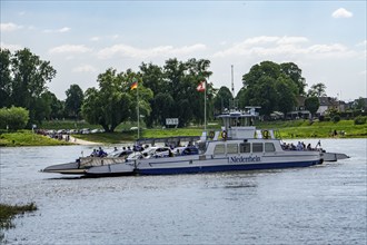 Rhine ferry Urdenbach-Zons, on the Urdenbachen Kämpe, Lower Rhine cultural landscape, Düsseldorf,