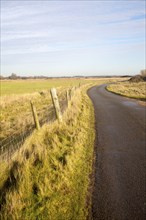 Narrow winding country tarmac road leading into the distance at Shingle Street, Hollesley, Suffolk,