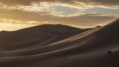 Sunrise in the desert, dunes, Erg Chebbi, Sahara, Merzouga, Morocco, Africa