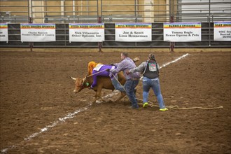 Oklahoma City, Oklahoma, The Great Plains Rodeo, an annual gay rodeo that features traditional