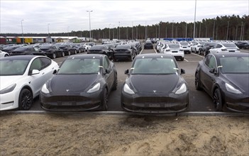 Tesla Y models produced in the Tesla Giga Factory, Grünheide, 28.01.2023