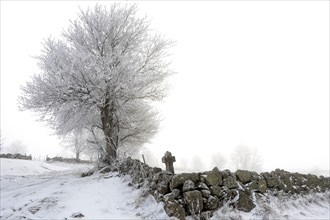 Aubrac plateau. Stone path cross in winter. Lozere department. Occitanie. France