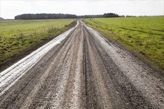 Unsurfaced track road chalk upland landscape Figheldean Down, Salisbury Plain, Wiltshire, England,