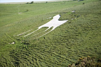 White horse figure carved in chalk scarp slope at Alton Barnes, Wiltshire, England, United Kingdom,