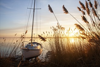 Winter landscape at sunset on the River Deben, Ramsholt, Suffolk, England, United Kingdom, Europe